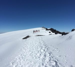 Højskole-i-udlandet Sabbatår Frivilligt-arbejde Bestig-kilimanjaro