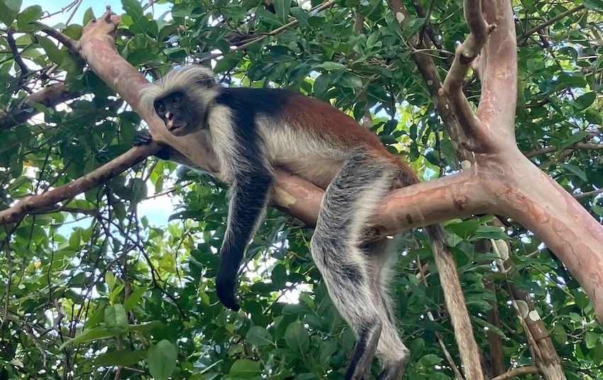 Overvejer du forårsholdet eller efterårsholdet